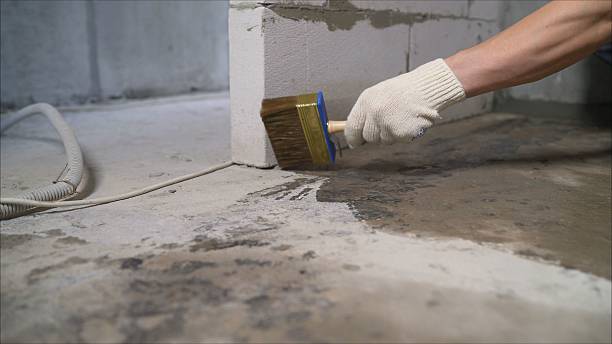 SJ Waterproofing Pros Crawl Space Encapsulation coverage map for DeWitt, MI and surrounding area